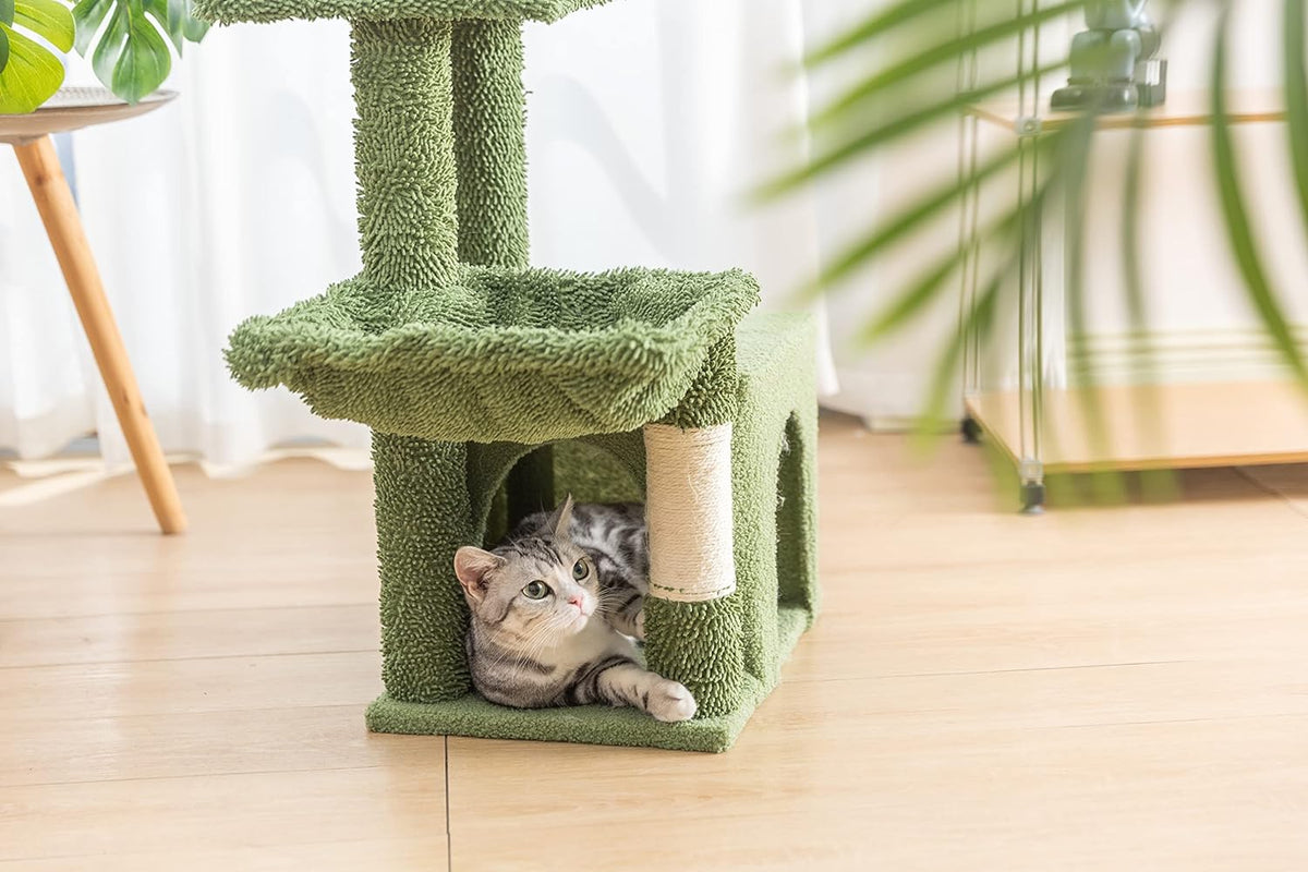 Kleiner Katzenbaum mit quadratischer Hängematte und Höhle für Katzen