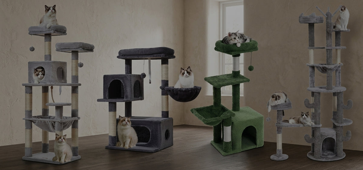 slider image slider_item_XECgRW